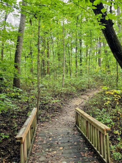 Chessie’s Trail - Alexandria, VA