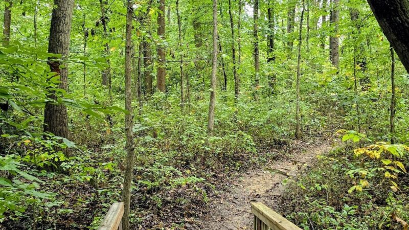 Chessie’s Trail - Alexandria, VA