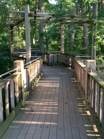 Chessie’s Trail - Alexandria, VA