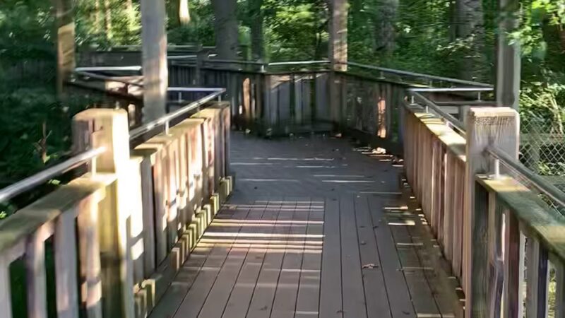 Chessie’s Trail - Alexandria, VA