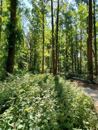 Chessie’s Trail - Alexandria, VA