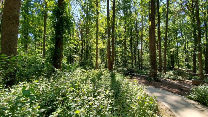 Chessie’s Trail - Alexandria, VA