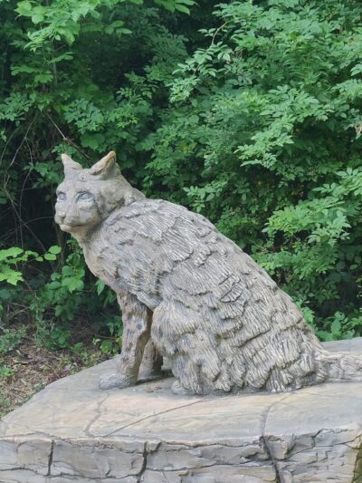 Chessie’s Trail - Alexandria, VA