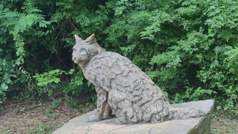 Chessie’s Trail - Alexandria, VA