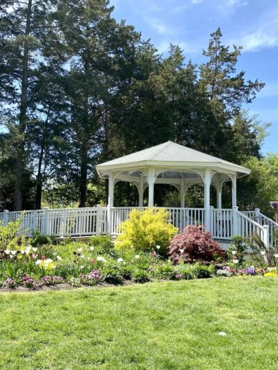 Green Spring Gardens - Alexandria, VA
