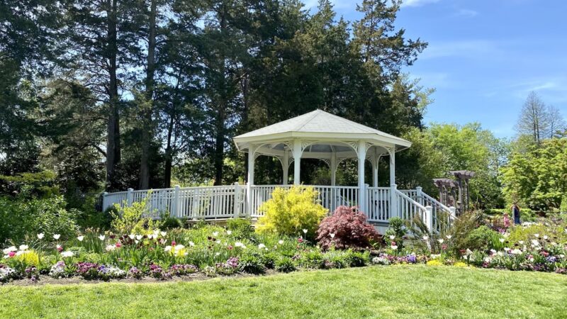 Green Spring Gardens - Alexandria, VA