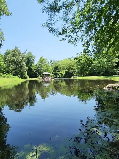 Green Spring Gardens - Alexandria, VA