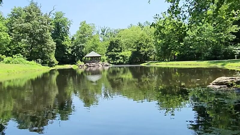 Green Spring Gardens - Alexandria, VA