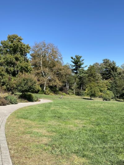 Green Spring Gardens - Alexandria, VA