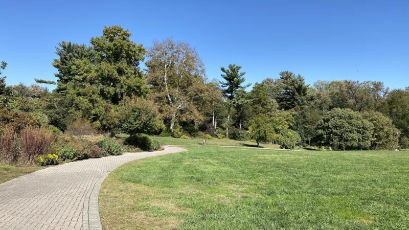 Green Spring Gardens - Alexandria, VA