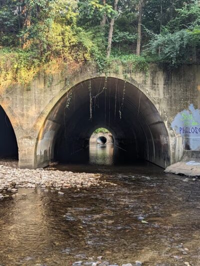 Holmes Run Scenic Easement - Alexandria, VA