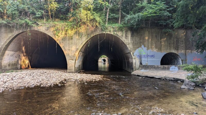 Holmes Run Scenic Easement - Alexandria, VA