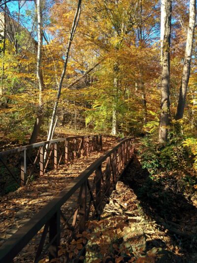 Holmes Run Scenic Easement - Alexandria, VA