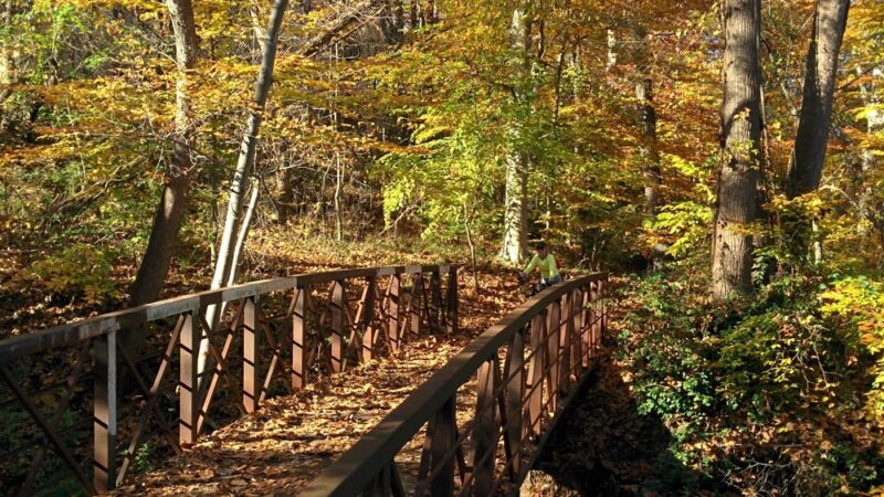 Holmes Run Scenic Easement - Alexandria, VA