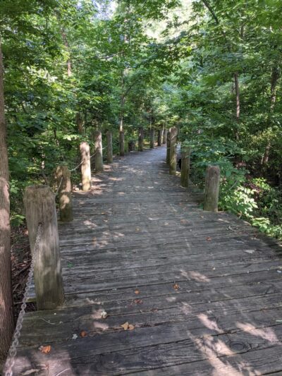 Holmes Run Scenic Easement - Alexandria, VA