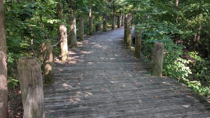 Holmes Run Scenic Easement - Alexandria, VA