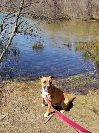 Kingstowne Park - Alexandria, VA