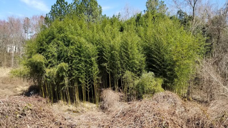 Kingstowne Park - Alexandria, VA