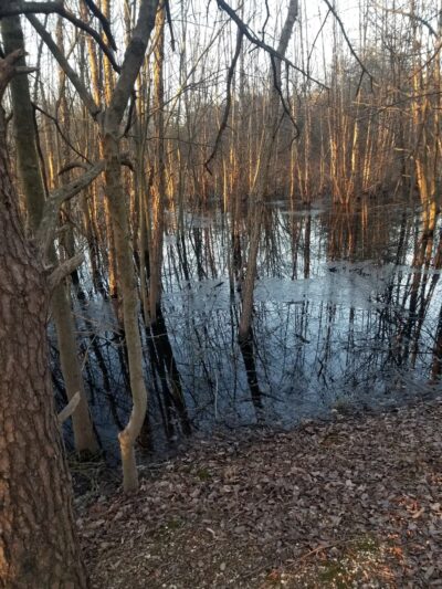 Kingstowne Park - Alexandria, VA