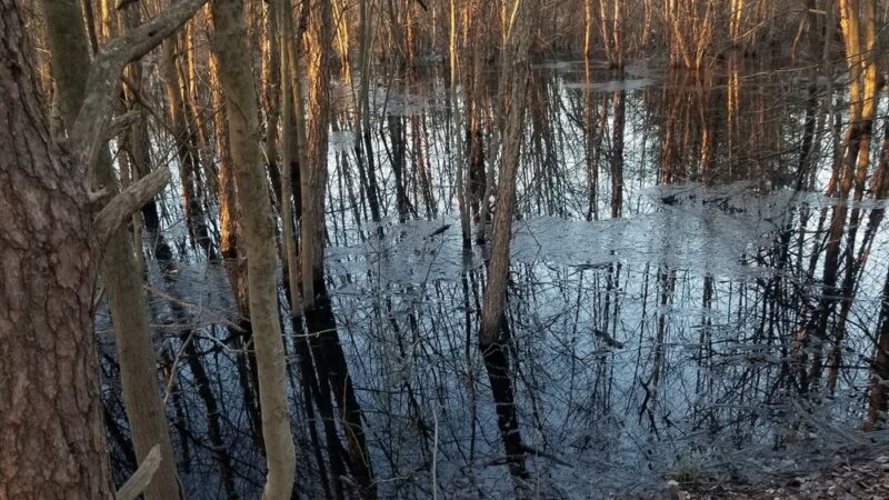 Kingstowne Park - Alexandria, VA