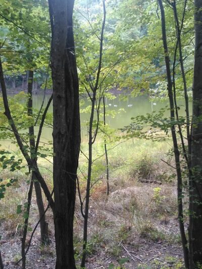 Kingstowne Park - Alexandria, VA