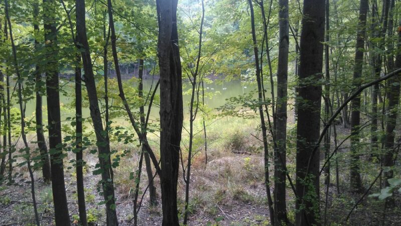 Kingstowne Park - Alexandria, VA