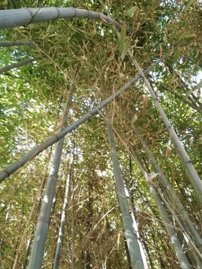 Kingstowne Park - Alexandria, VA