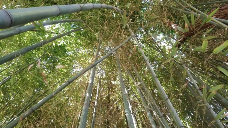 Kingstowne Park - Alexandria, VA