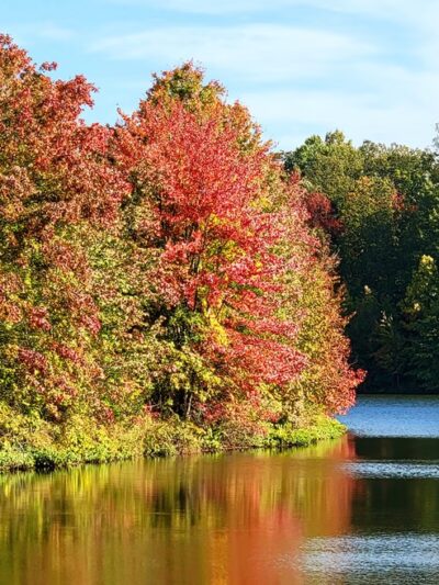 McLovin Lake - Alexandria, VA
