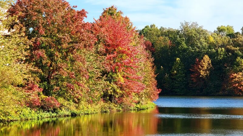 McLovin Lake - Alexandria, VA