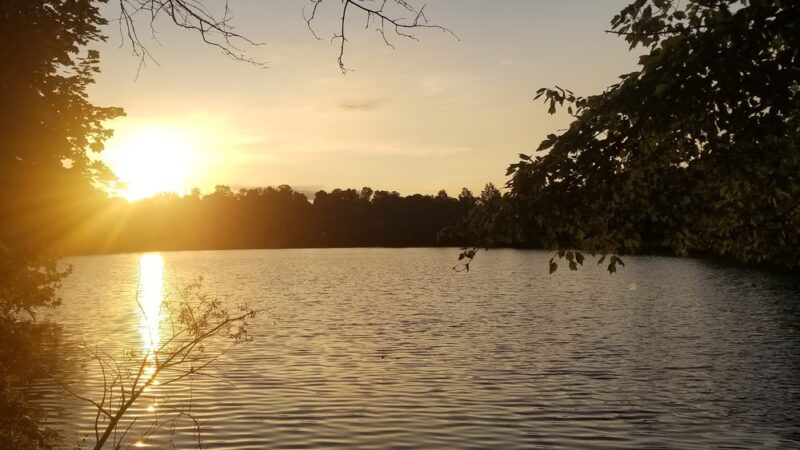 McLovin Lake - Alexandria, VA
