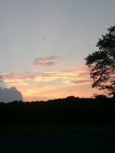 Muddy Hole Farm Park - Alexandria, VA