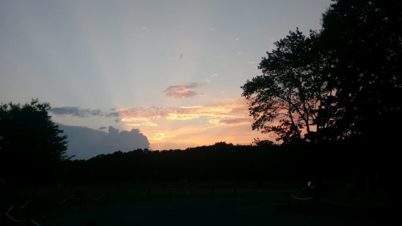 Muddy Hole Farm Park - Alexandria, VA