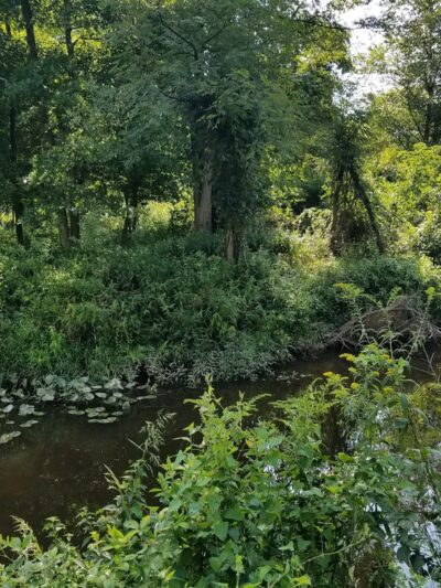 Pole Road Park - Alexandria, VA