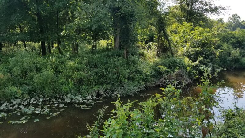 Pole Road Park - Alexandria, VA