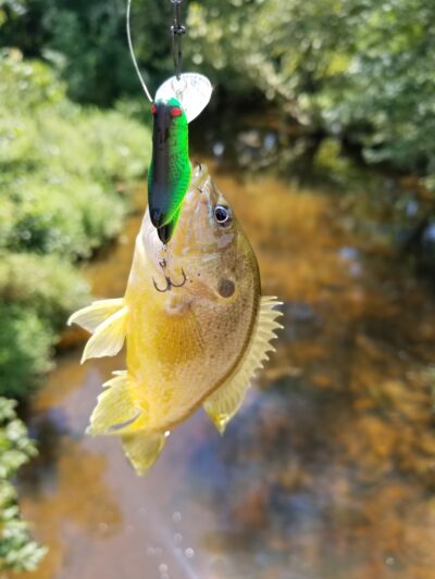 Pole Road Park - Alexandria, VA