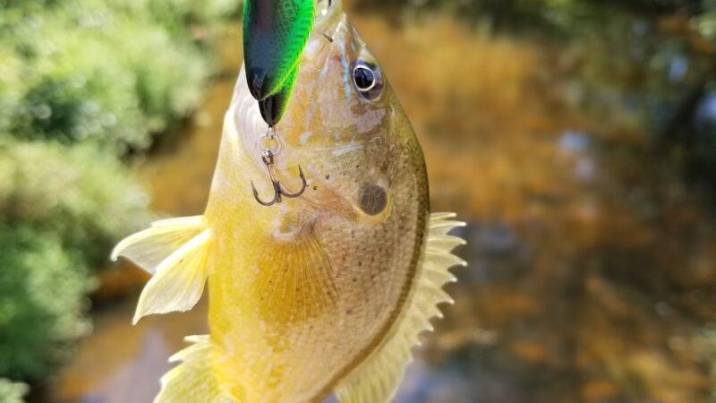 Pole Road Park - Alexandria, VA