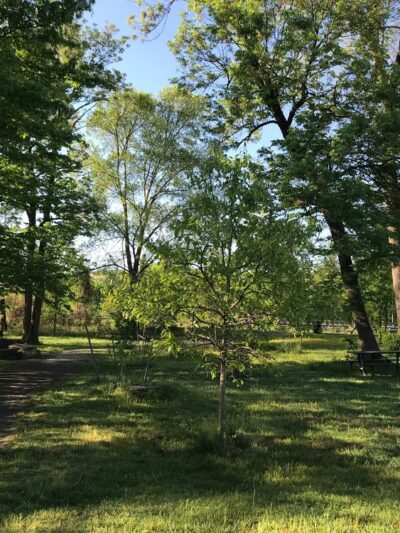 Tarleton Park - Alexandria, VA