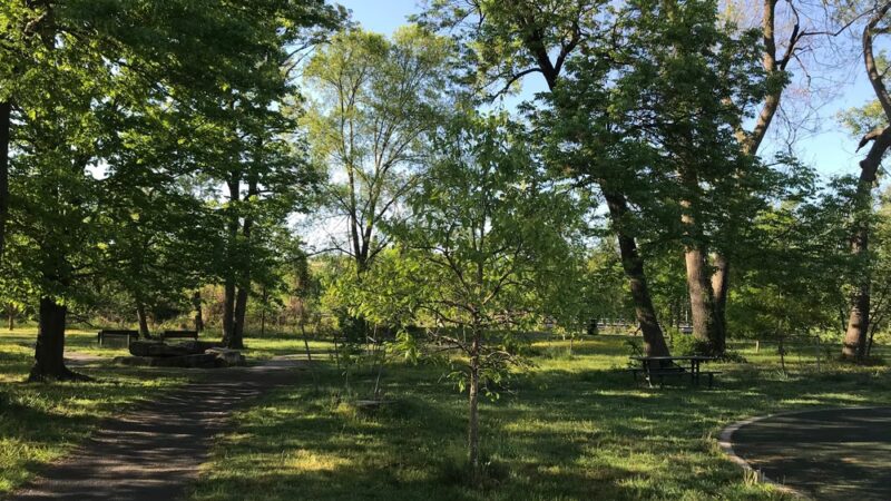 Tarleton Park - Alexandria, VA