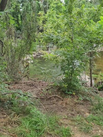 Tarleton Park - Alexandria, VA