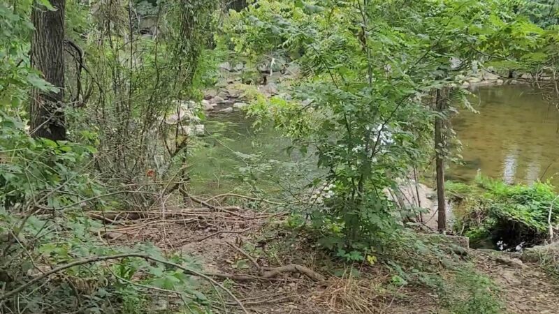 Tarleton Park - Alexandria, VA