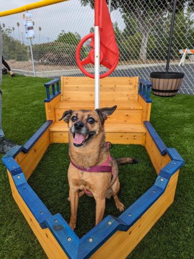 Alhambra Paw-Pup Dog Park - Alhambra, CA