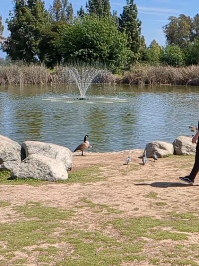 Almansor Park - Alhambra, CA