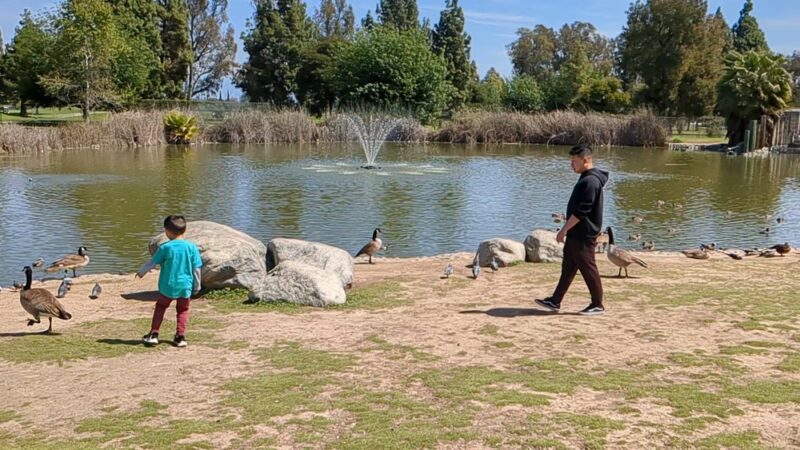 Almansor Park - Alhambra, CA