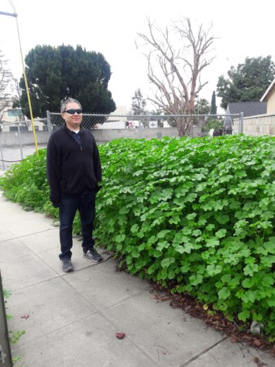 Emery Park - Alhambra, CA