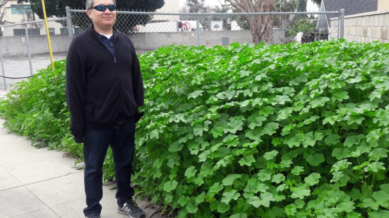 Emery Park - Alhambra, CA