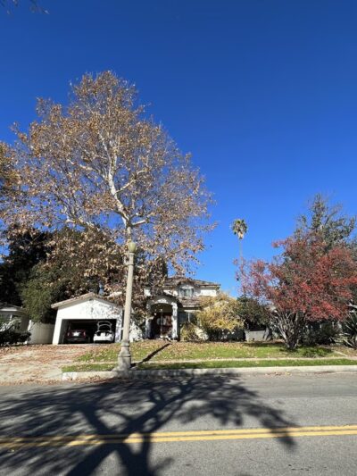 Lindaraxa Park - Alhambra, CA