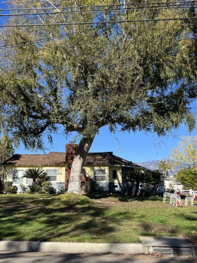 Lindaraxa Park - Alhambra, CA