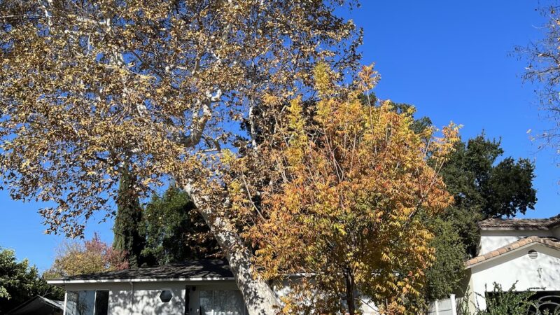 Lindaraxa Park - Alhambra, CA