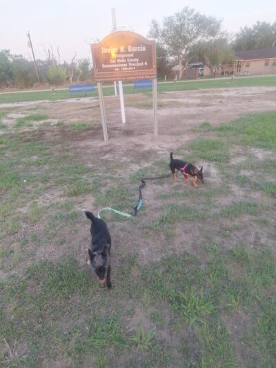 Ben Bolt Park - Alice, TX